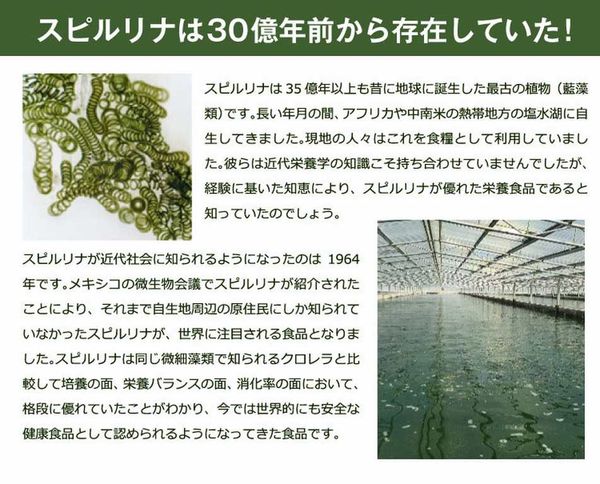 Tảo túi Spirulina mini 200 viên