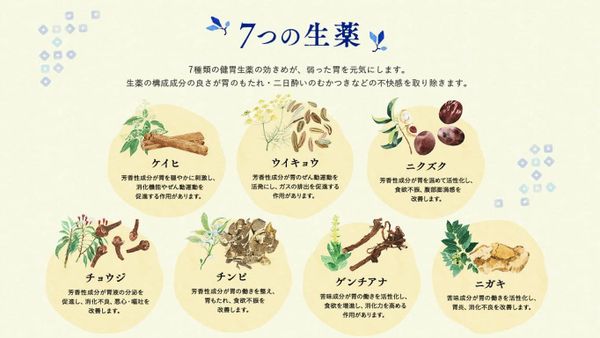 Dược phẩm đặc trị đau dạ dày Ohta Isan Inomotare