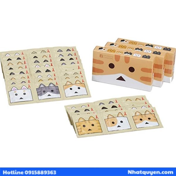 bao_cao_su_okamoto_nyan__2__0a7ead9f74de4348b7d03a33f7856eaa_grande bao cao su nhat ban
