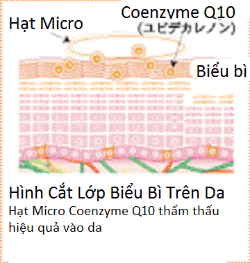 bb_a3c_20chuy_e1_bb_83n_20h_c3_b3a_20th_c3_a0nh_20h_e1_ba_a1t_20micro_grande