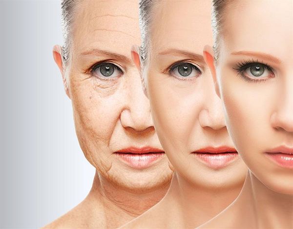 cấy collagen tươi