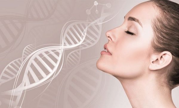 collagen_tuoi_dang_boi_cua_nhat_1639a1a893fc413caae66dcc680a8a58_grande collagen tươi dạng bôi của Nhật