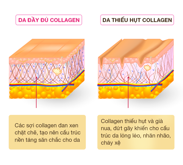 collagen tươi