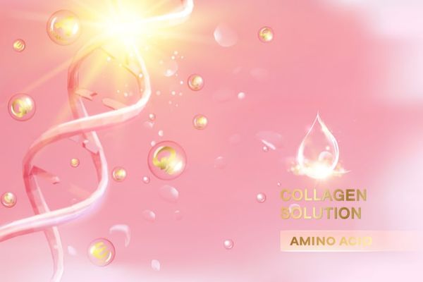 collagen tươi nhật bản