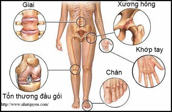 Thuốc bổ xương khớp của Nhật Glucosamin 1500mg