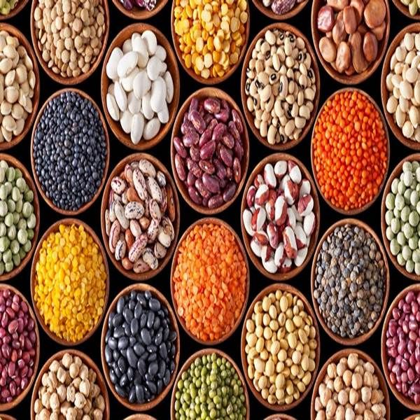 Người bị bệnh trĩ nên ăn gì và kiêng ăn gì?