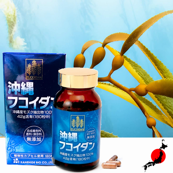 fucoidannn_grande Fucoidan Nhat Ban