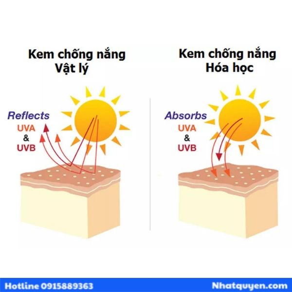 kien_thuc_ve_kem_chong_nang__2__5abdaf7de7d248ec9188681916fc072e_grande