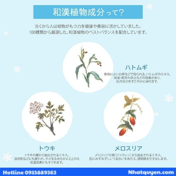 Dầu tẩy trang cao cấp Kose Sekkisei Nhật Bản