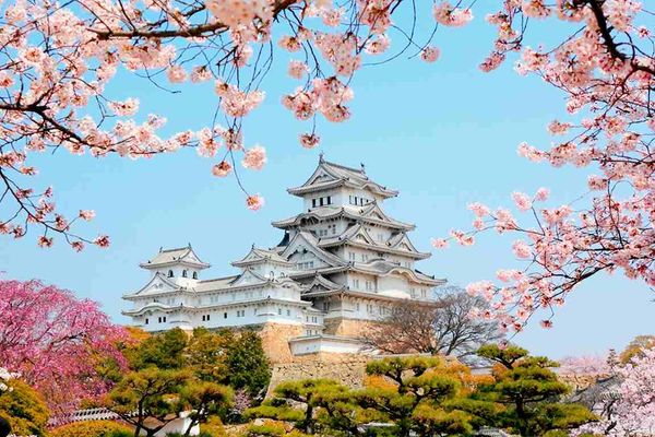 lau-dai-himeji-_eca3fcf3745d4fb7ab4ee52e4d20683b_grande cảnh đẹp nhật bản