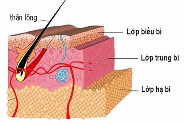 Cấy collagen có tốt không?