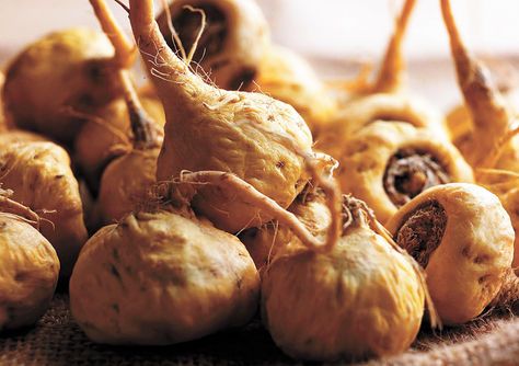 Viên uống tăng cường sinh lý cho nam giới Yamamoto Oriental 100% từ Maca