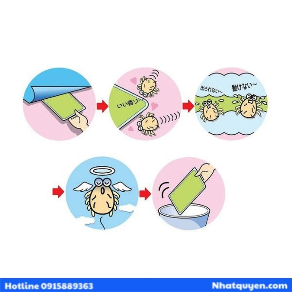 mieng_dan_duoi_rep_bo_to_plan__7__e9cc40325f0346e4808f9585552acbf8_grande mieng dan duoi rep bo to-plan