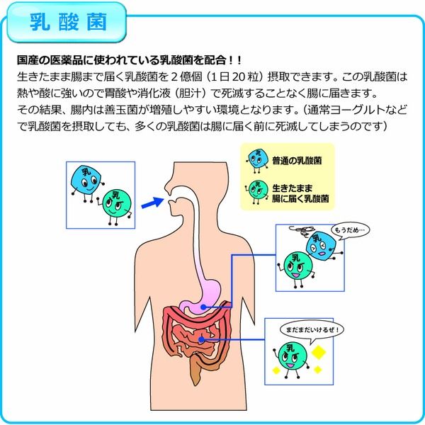 Tảo xoắn Spimate cao cấp của Nhật