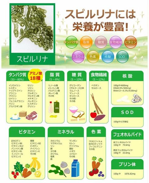 Tảo xoắn Spirulina CoQ10