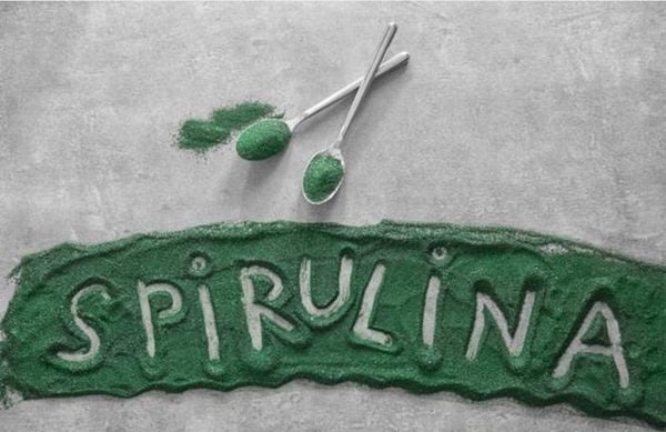 Bà bầu có nên sử dụng tảo spirulina không?