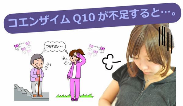 Tảo xoắn Spirulina CoQ10