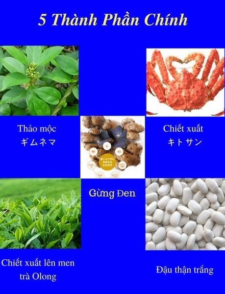 thành phần ITOH Diet