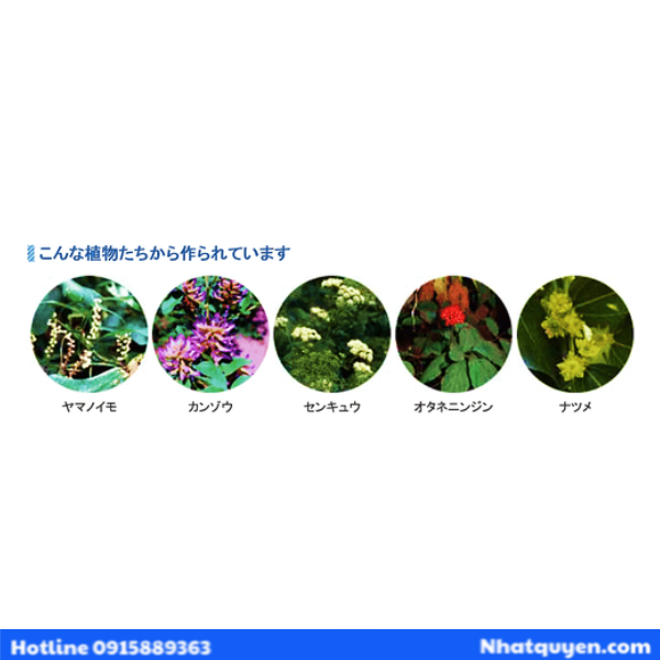 thiet_ke_chua_co_ten__93__316b3c246a6241ecaa997a5151509f8a_grande