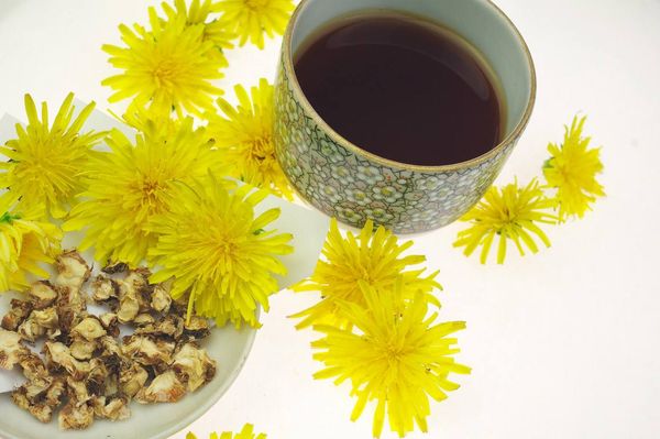 tra_bo_cong_anh_nhat_ban_8c754026bfb54a31aa74d348df6bc643_grande Trà bồ công anh Tanpopo Tea Yamamoto Nhật Bản