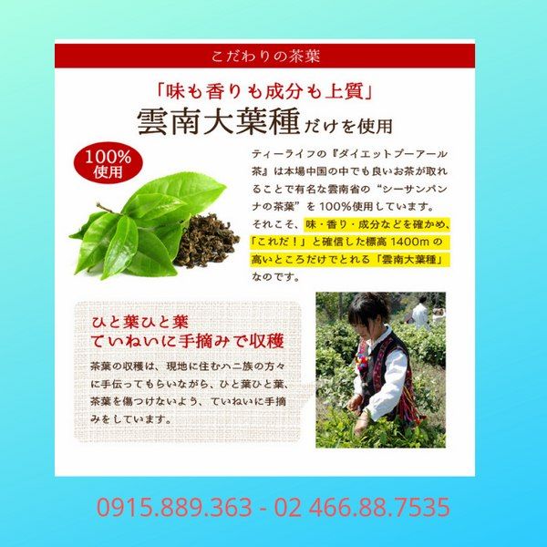 Trà đen giảm cân cao cấp Ô long ORIHIRO Nhật Bản