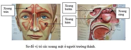 Viêm xoang hàm có nguy hiểm không
