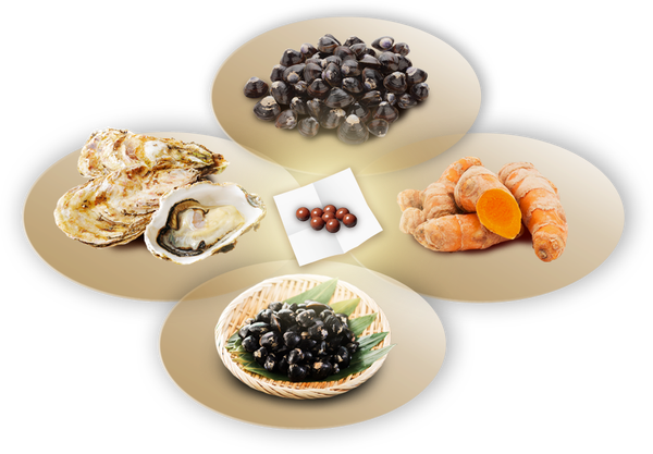 Viên bổ gan tinh chất hến hàu nghệ ITOH