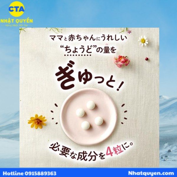 Viên uống bổ sung sắt và axit Folic Mama Lula Fancl