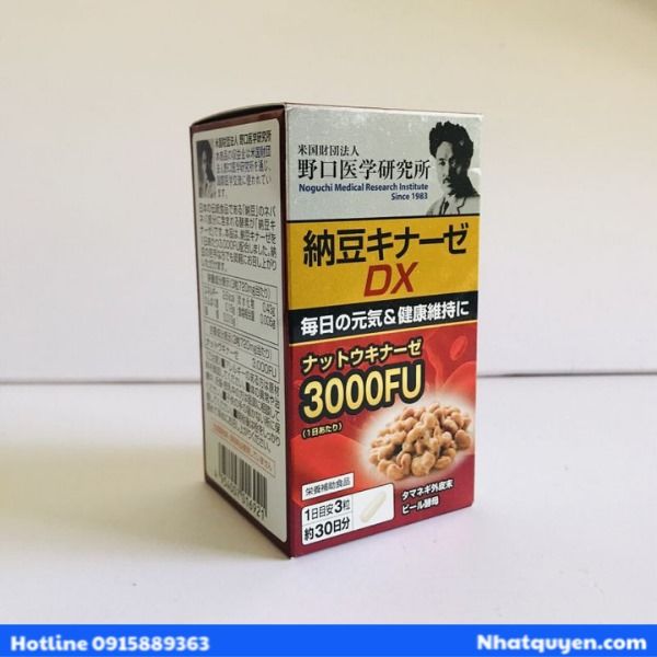Noguchi DX 3000 FU