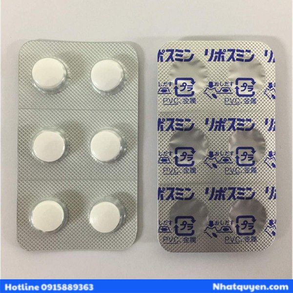 vien uong ngu ngon nhat ban