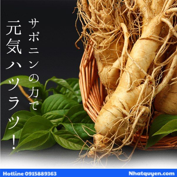 vien_uong_nhan_sam_ginseng_lipusa_nhat_ban__7__97cddb86347e49f6837194d6b175798d_grande vien uong lipusa nhan sam