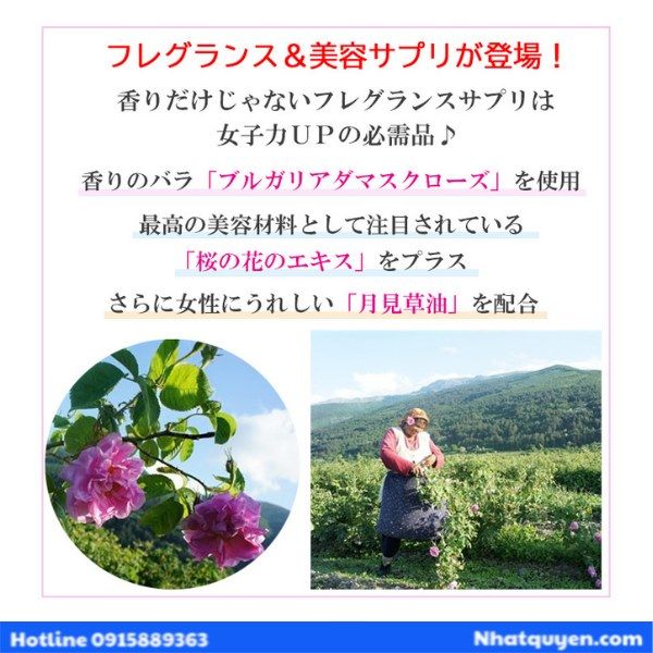 sakura rose