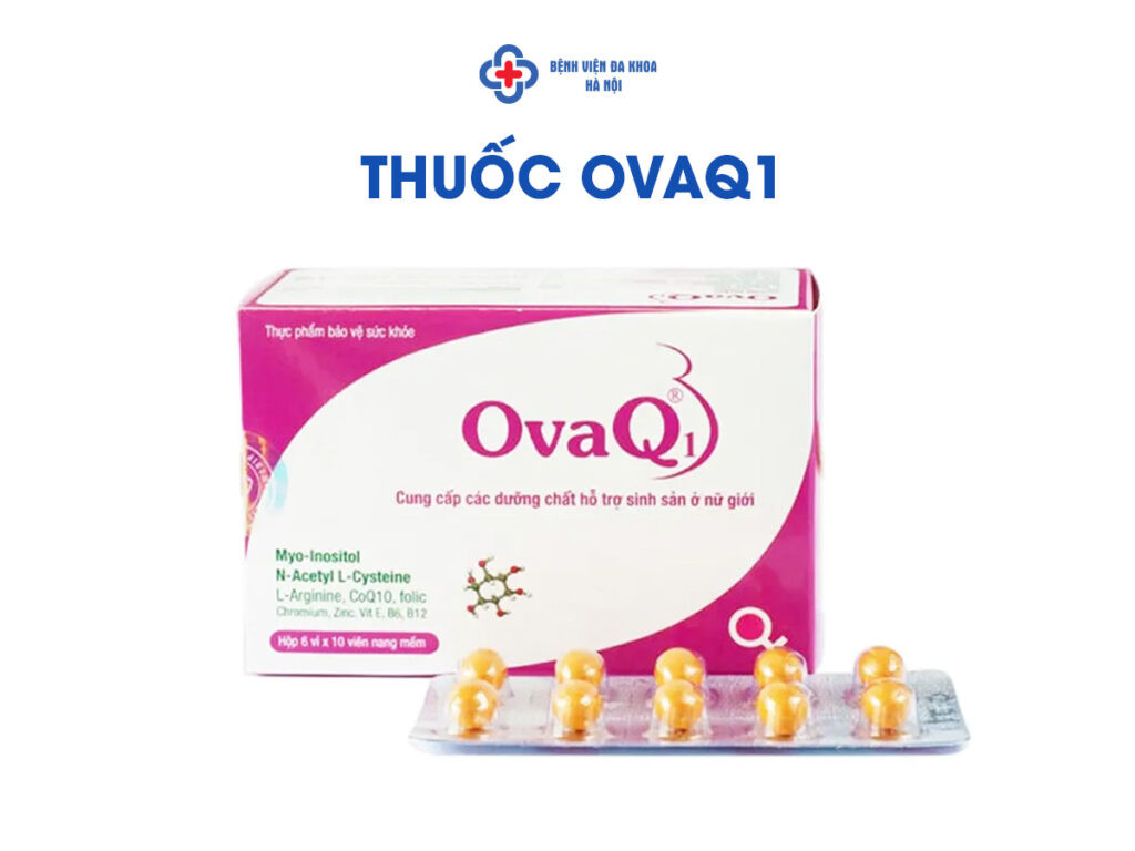 Sản phẩm bổ trứng OvaQ1 giúp tăng khả năng thụ thai