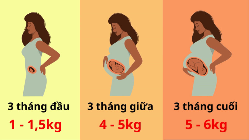 Bảng biểu đồ tăng cân nặng chuẩn của mẹ bầu theo từng tam cá nguyệt, giúp mẹ bầu theo dõi dễ dàng.