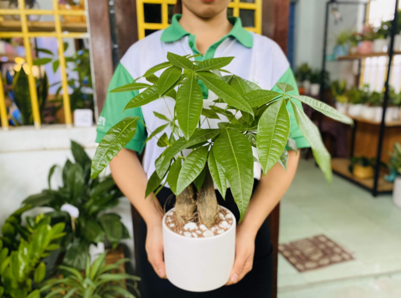 Hình ảnh một phụ nữ với làn da sáng khỏe rạng rỡ, tượng trưng cho vẻ đẹp chuẩn Nhật Bản có thể đạt được ở bất cứ đâu, kể cả khi bạn băn khoăn phường trung mỹ tây ở đâu.