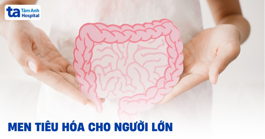 Hình ảnh viên uống hỗ trợ tiêu hóa cho người lớn