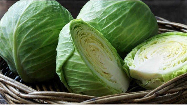 Đắp lá bắp cải giúp hạn chế tiết sữa ở mẹ bầu